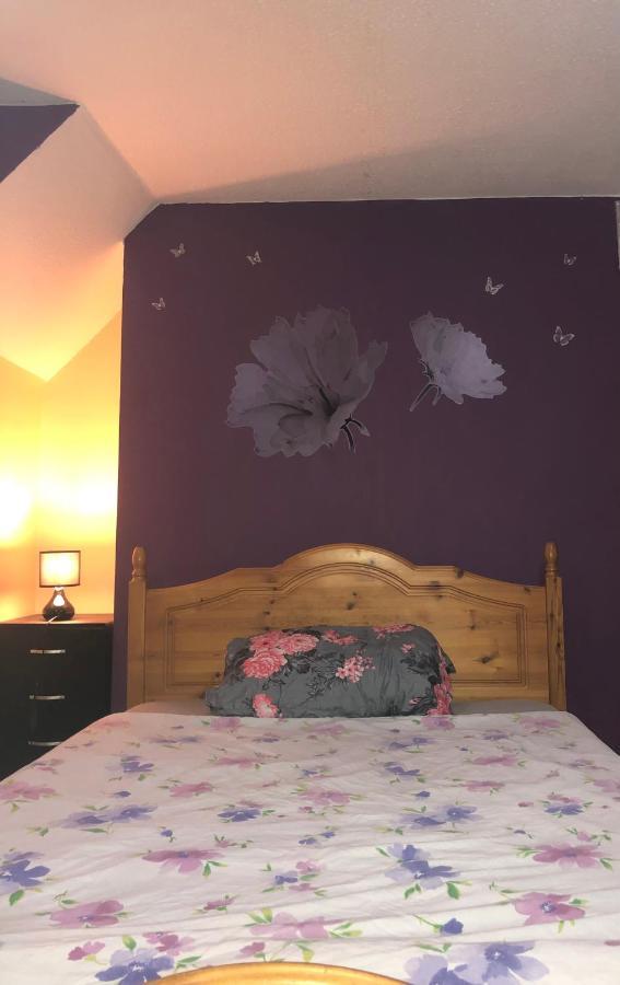 Apartamento Single Large Room Hastings Exteriör bild